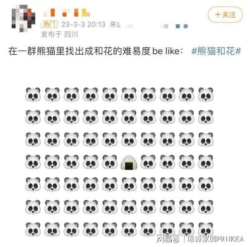 这儿就给你们准备了一份清单… (嗯… 别想太更多) 👇