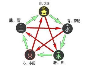 天干地支的“阴”与“阳”，没那么严肃
