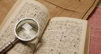 为哪些把旭写进名字？——情感与期望交织的理由