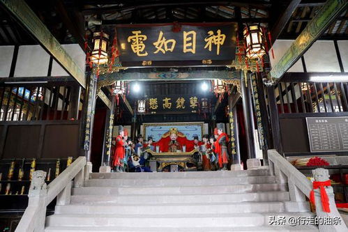猜灯谜: 全者阝不会