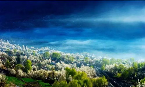 摄影指南：尼康D40X下的光影记录