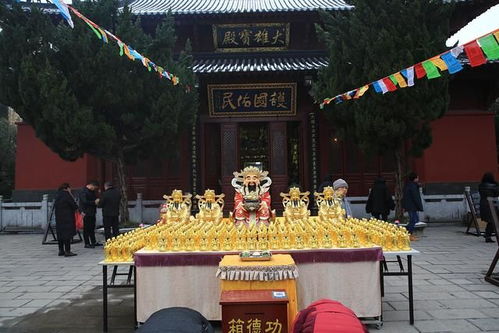 一、门票市场价格：到底值不值得？