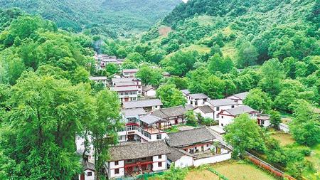 线路二：康县城-王坝田…（略）