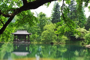 一、 夏季的烦躁与安吉的凉意