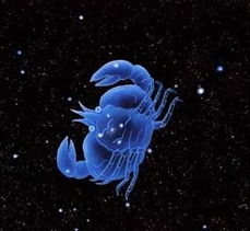 十二星座中巨蟹座的专属神龙是什么？