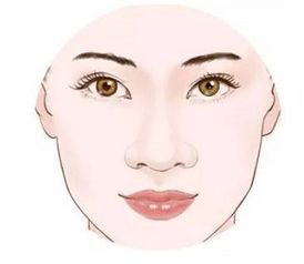 不同形状的鼻孔与不同的财运走向