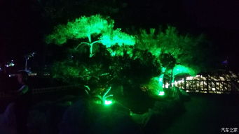 夜游蓝水星：一场感官的盛宴