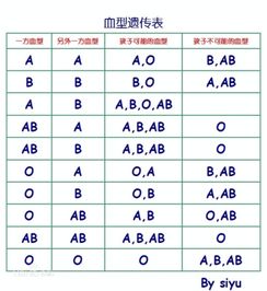 血型的玄学奥秘