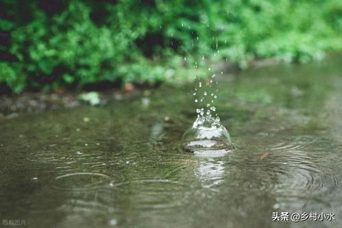 二、风水密码：田地被淹背后隐藏的吉兆