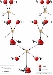 (6) 蛇（巳蛇）——蜿蜒曲折， 却因直线压迫产生焦虑