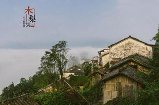 三、住宿推荐（随便找个还行就行！）