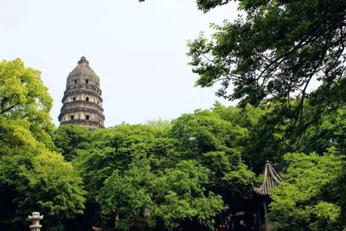 震惊！虎丘60元门票背后竟有这种惊天大坑！2026年去的人全哭了！