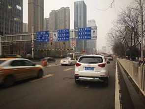 交通噩梦：公交车司机会不会停啊？！