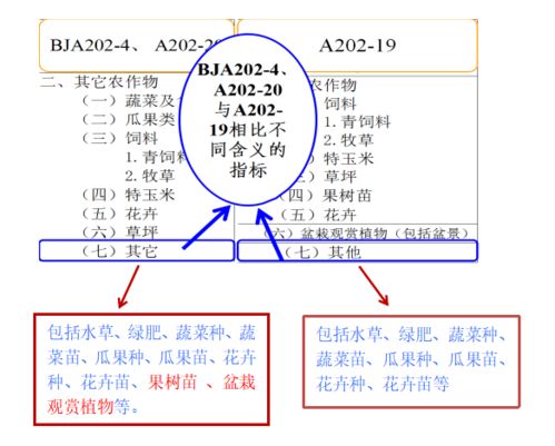 在这个浮躁的年代，为何我们要去追寻那些星辰的脚步？