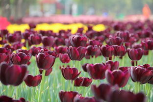 餐饮服务：抢钱第二弹