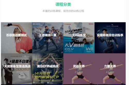 1、银发旅行到底是哪些？