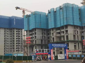 首店云集：亮点纷呈