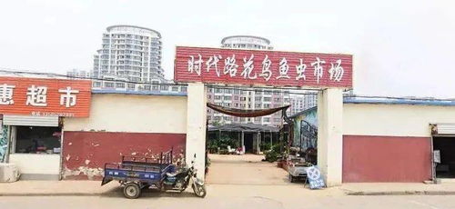 文化底蕴传承 vs 商业活动运营：平衡不容简单题仍未解决