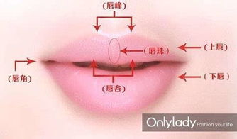 将搬唇递舌打一生肖，为哪个生肖的尾巴特长？