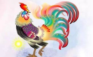 一、 属马的本命年概述与太岁冲撞的根源