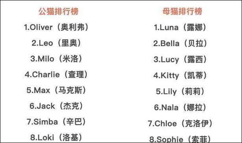 Sherry的2025年7月命名吉日：一场关于美好人生的玄学迷思