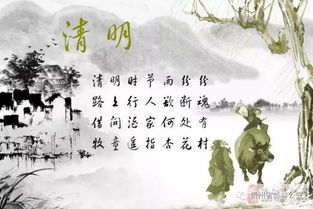 清明祭祖春光里传承记忆拥抱新生