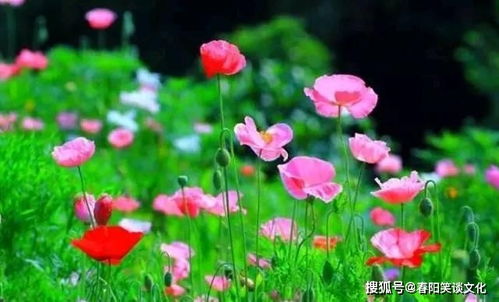  不同场景下精准安慰指南