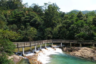 大丰门度假村——一个让你钱包哭泣的快乐地狱！