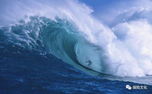 【震惊】抚顺那个破冲浪馆居然还有人去？2026年运势大揭秘！