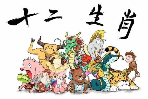 蛇——冷静神秘 vs 天真幼稚的小宝宝