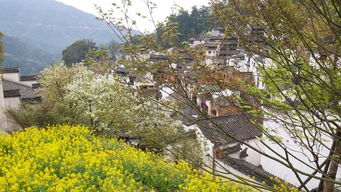 一、 江湾古村的独特魅力