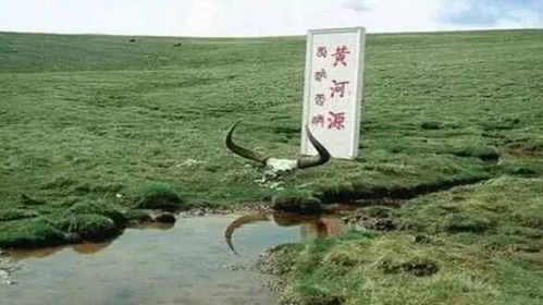 中国五较大源头海拔排行榜