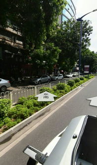 绿地云水谣的风水,绿地云水谣车位