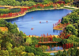一、南村：岭南古韵的缩影