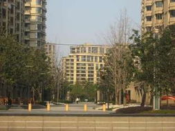 数据说话：为啥这里正在成为旅行者暗地基地？
