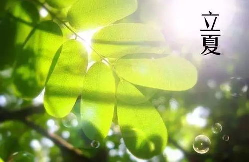 千年盐城立夏风，夏日风情传承爆款