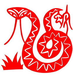 2001年出生的蛇属相是什么意思，01年的生肖又代表什么？