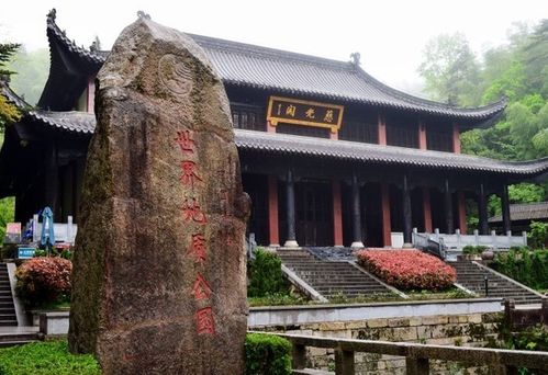 Day1：嘉善！我来了！