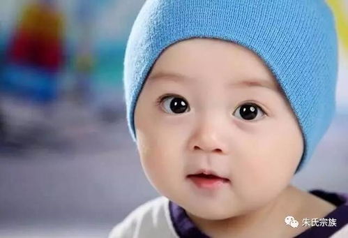 惯与“朱”这个姓氏：它真的有那么重要吗？
