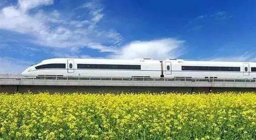 拖着行李箱的绝望与救赎