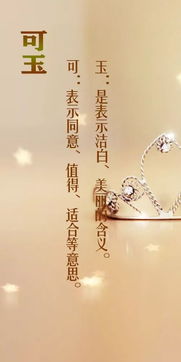 案例一：鼎怡 & 丹崭新组合