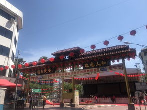 季节因素带来的惊喜与惊吓