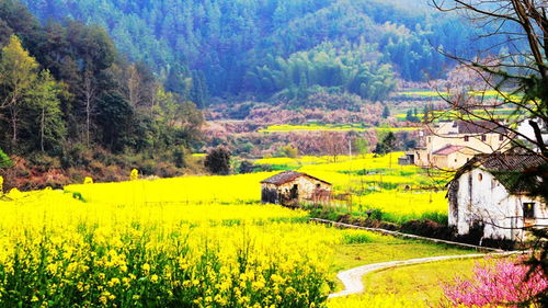 怀柔芸上梯田：都市版《非诚勿扰》背景墙（网红打卡圣地）
