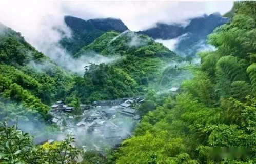 山顶的无限风光