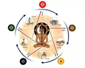 乙木女命盘为何容易遭遇多段情感波折，命运轨迹中隐藏着怎样的情感坎坷？