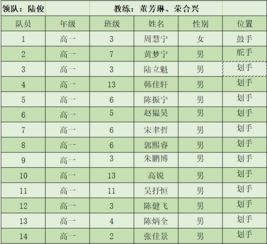 二、乱序表格：随意挑选的组合（请勿太认真实）