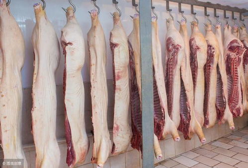 梦见杀猪分割猪肉是什么预兆？
