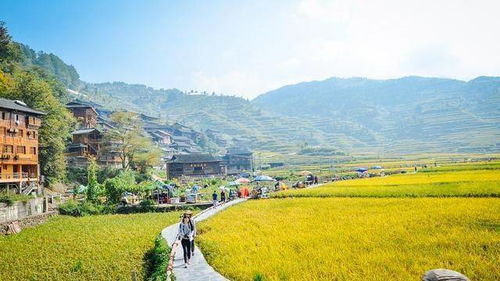 传统民居，古朴典雅，但是楼梯真的好陡！