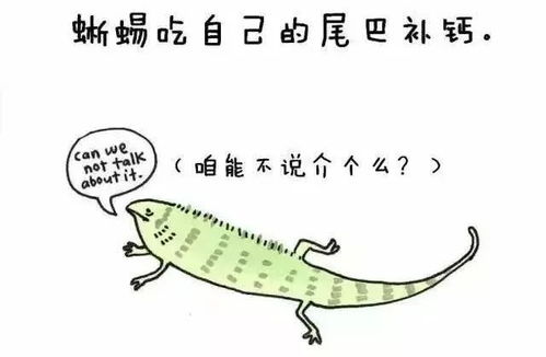 冷知识：科学与迷信的碰撞