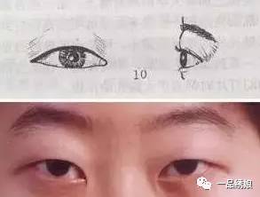 前言：双眼皮男生， 颜值与婚后可靠性之间的玄妙纠葛
